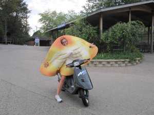 64077_453976683024_4942912_n